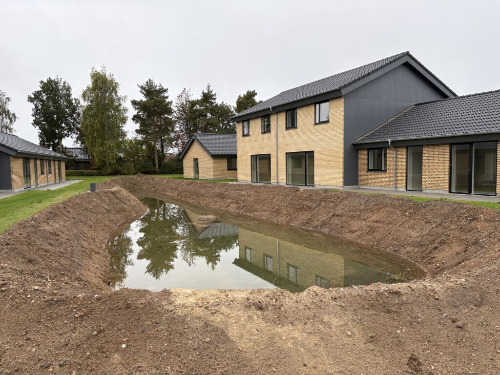 Primære – Projekt i Langeskov